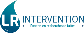 Logo LR INTERVENTION